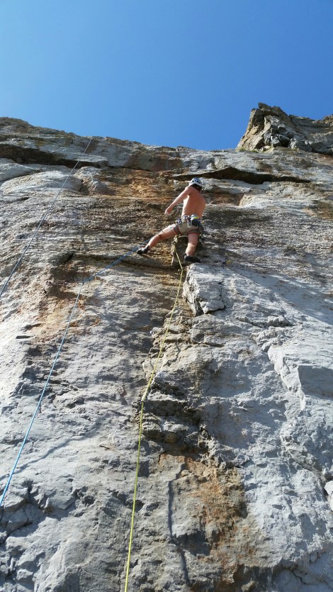 wp-1440280631434 image