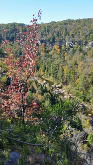 20151017_113933.jpg image