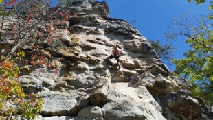 20151017_130144.jpg image