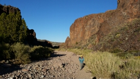 20151107_155121.jpg image