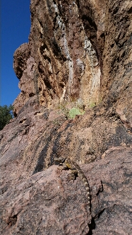 20151108_125111.jpg image