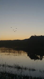 20151108_172023.jpg image