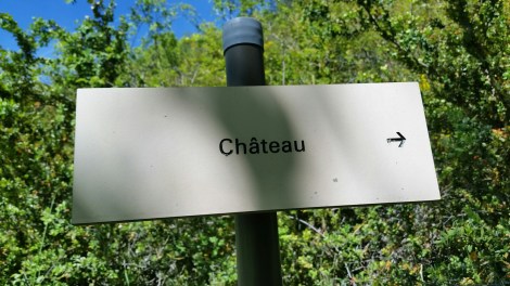 20160520_110343.jpg image